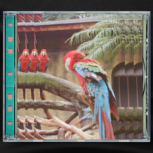 性感美女黄色大片。
